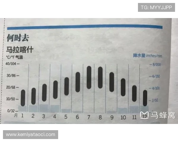 了解世界杯巴西摩洛哥比赛当天球场天气变化对比赛结果的影响分析 了解世界杯巴西摩洛哥比赛当天球场天气变化对比赛结果的影响分析